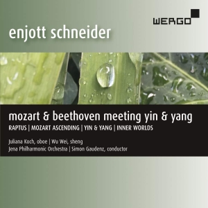 Schneider Enjott - Mozart & Beethoven Meeting Yin & Ya i gruppen VI TIPSAR / Julklappstips CD hos Bengans Skivbutik AB (3677084)