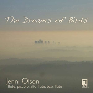Olson - The Dreams Of Birds i gruppen Externt_Lager / Naxoslager hos Bengans Skivbutik AB (3677210)