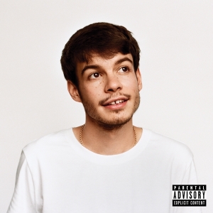 Rex Orange County - Pony i gruppen VINYL / Pop-Rock hos Bengans Skivbutik AB (3679203)