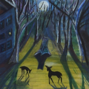 Quinn Donovan - Absalom i gruppen VINYL / Pop-Rock hos Bengans Skivbutik AB (3716994)