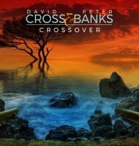 Cross David And Peter Banks - Crossover i gruppen CD / Pop-Rock hos Bengans Skivbutik AB (3727106)