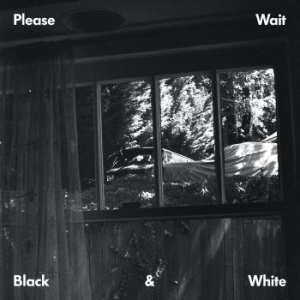 Please Wait - Black & White i gruppen VINYL / RNB, Disco & Soul hos Bengans Skivbutik AB (3728545)