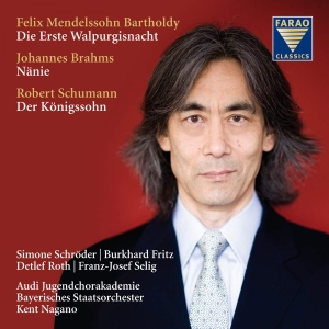 Mendelssohn Bartholdy/Brahms/Schuma - Mendelssohn Bartholdy/Brahms i gruppen Externt_Lager / Naxoslager hos Bengans Skivbutik AB (3731554)
