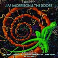 Blandade Artister - Tribute To Jim Morrison & The Doors i gruppen VINYL / Pop-Rock hos Bengans Skivbutik AB (3734370)