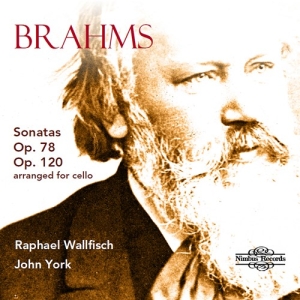 Brahms Johannes - Sonatas, Opp. 78 & 120 (Arranged Fo i gruppen VI TIPSAR / Julklappstips CD hos Bengans Skivbutik AB (3743338)