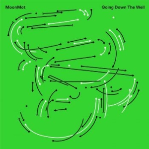 Moonmot - Going Down The Well i gruppen CD / Jazz/Blues hos Bengans Skivbutik AB (3746601)
