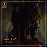 Thundercat - It Is What It Is i gruppen VI TIPSAR / Årsbästalistor 2020 / Uncut 2020 hos Bengans Skivbutik AB (3746607)