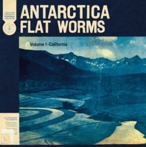 Flat Worms - Antarctica i gruppen ÖVRIGT / MK Test 9 hos Bengans Skivbutik AB (3747649)