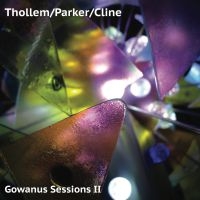 Thollem/Parker/Cline - Gowanus Sessions Ii i gruppen VINYL / Jazz hos Bengans Skivbutik AB (3759543)