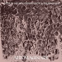 Bitchin Bajas & Natural Information - Automaginary i gruppen VINYL / Pop-Rock hos Bengans Skivbutik AB (3763842)