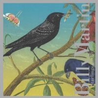 Martin Billy - Starlings i gruppen CD / Jazz,Pop-Rock hos Bengans Skivbutik AB (3764616)