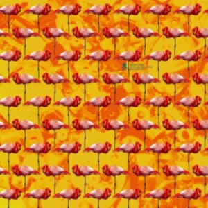 Elephant Chateau - Dreamings & Offshore Drilling i gruppen CD / Pop-Rock hos Bengans Skivbutik AB (3772909)