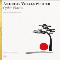 Vollenweider Andreas - Quiet Places i gruppen CD / Elektroniskt,Pop-Rock,World Music hos Bengans Skivbutik AB (3779253)