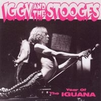 Iggy & The Stooges - Year Of The Iguana i gruppen CD / Pop-Rock hos Bengans Skivbutik AB (3782608)