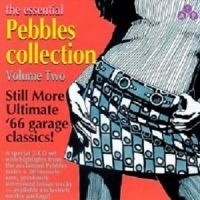 Various Artists - Essential Pebbles Vol. 2 i gruppen CD / Pop-Rock hos Bengans Skivbutik AB (3782640)