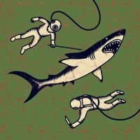 Shepparton Airplane - Sharks i gruppen VINYL / Pop-Rock hos Bengans Skivbutik AB (3788059)