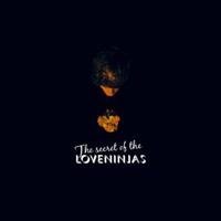Loveninjas - Secret Of The Loveninjas i gruppen CD / Pop-Rock hos Bengans Skivbutik AB (3798994)
