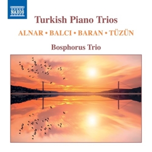 Various - Turkish Piano Trios i gruppen VI TIPSAR / Julklappstips CD hos Bengans Skivbutik AB (3838216)