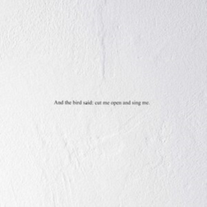 Prairie - And The Bird Said: Cut Me Open And i gruppen VINYL / Pop-Rock hos Bengans Skivbutik AB (3846185)