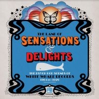 Blandade Artister - Land Of Sensations And Delight i gruppen CD / Pop-Rock hos Bengans Skivbutik AB (3846211)