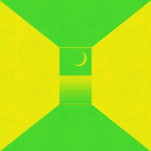 Ceremony - In The Spirit World Now (Synthetic i gruppen VINYL / Pop-Rock hos Bengans Skivbutik AB (3865963)