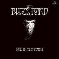 Budos Band The - Long In The Tooth i gruppen VINYL / Pop-Rock hos Bengans Skivbutik AB (3894424)