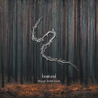 Lunatic Soul - Through Shaded Woods i gruppen CD / Hårdrock hos Bengans Skivbutik AB (3900174)