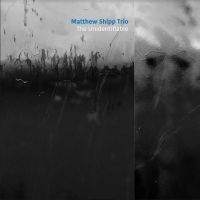 Shipp Matthew (Trio) - Unidentifiable i gruppen VI TIPSAR / Årsbästalistor 2020 / JazzTimes 2020 hos Bengans Skivbutik AB (3901184)