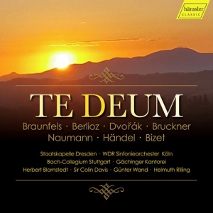 Various - Te Deum (4Cd) i gruppen Externt_Lager / Naxoslager hos Bengans Skivbutik AB (3910168)