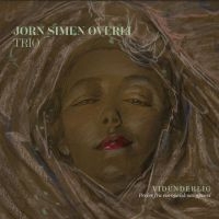 Overli Jorn Simen (Trio) - Vidunderlig i gruppen CD / Pop-Rock hos Bengans Skivbutik AB (3913720)