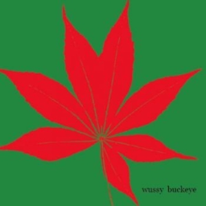 Wussy - Buckeye i gruppen CD / Pop-Rock hos Bengans Skivbutik AB (3917820)