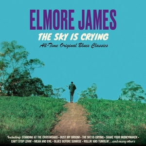 Elmore James - Sky Is Crying i gruppen CD / Blues,Jazz hos Bengans Skivbutik AB (3925080)