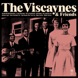 Viscaynes - Viscaynes & Friends i gruppen VI TIPSAR / Julklappstips Vinyl hos Bengans Skivbutik AB (3925625)