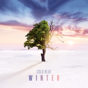 Cold Blue - Winter i gruppen CD / hos Bengans Skivbutik AB (3927736)