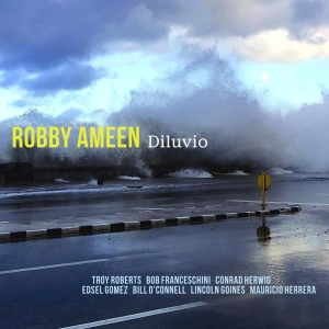 Robby Ameen - Diluvio i gruppen CD / Jazz hos Bengans Skivbutik AB (3928524)