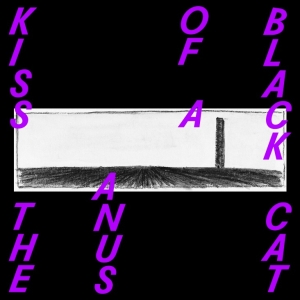 Kiss The Anus Of A Black Cat - If The Sky Falls, We Shall Catch Larks i gruppen VINYL / Pop-Rock,Övrigt hos Bengans Skivbutik AB (3928906)