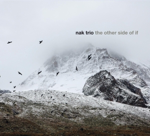 Nak Trio - Other Side Of If i gruppen CD / Jazz hos Bengans Skivbutik AB (3928949)