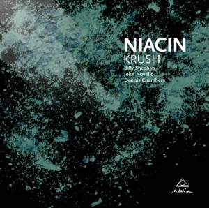 Niacin - Krush i gruppen CD / Pop-Rock hos Bengans Skivbutik AB (3931652)