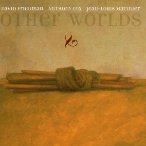 David Friedman - Other Worlds i gruppen CD / Jazz hos Bengans Skivbutik AB (3934119)