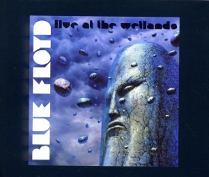 Blue Floyd - Live At The Wetlands i gruppen CD / Pop-Rock hos Bengans Skivbutik AB (3935505)