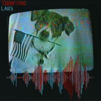 Turnip King - Laika i gruppen VINYL / Pop-Rock hos Bengans Skivbutik AB (3939254)