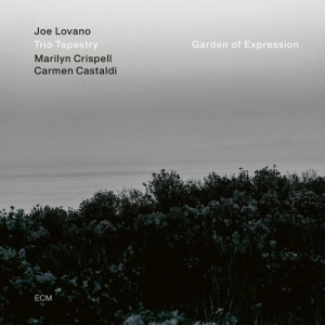 Joe Lovano Trio Tapestry - Garden Of Expression i gruppen CD / Jazz hos Bengans Skivbutik AB (3957429)