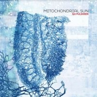 Mitochondrial Sun - Sju Pulsarer i gruppen CD / Hårdrock hos Bengans Skivbutik AB (3978921)