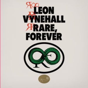Leon Vynehall - Rare, Forever i gruppen VINYL / Dance-Techno hos Bengans Skivbutik AB (3981434)