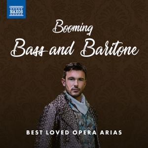 Various - Booming Bass And Baritone: Best Lov i gruppen Externt_Lager / Naxoslager hos Bengans Skivbutik AB (3985311)