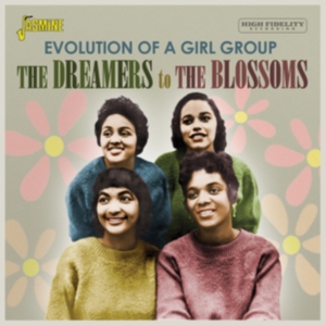 Various Artists - Dreamers To The Blossoms - Evolutio i gruppen ÖVRIGT / Övrigt / aub hos Bengans Skivbutik AB (3986998)