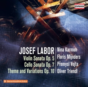 Josef Labor - Violin Sonata, Op. 5, Cello Sonata, i gruppen VI TIPSAR / Julklappstips CD hos Bengans Skivbutik AB (3988823)