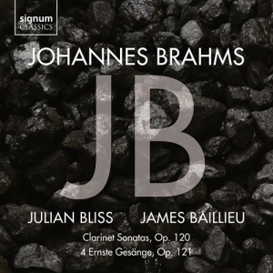 Johannes Brahms - Clarinet Sonatas Op. 120 & 4 Ernste i gruppen VI TIPSAR / Julklappstips CD hos Bengans Skivbutik AB (3988827)