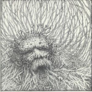 Nemorous - Nemorous (Vinyl Lp + Cd) i gruppen VINYL / Hårdrock hos Bengans Skivbutik AB (3989955)