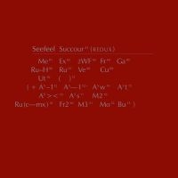 Seefeel - Succour (Redux) i gruppen VI TIPSAR / Julklappstips Vinyl hos Bengans Skivbutik AB (3990569)